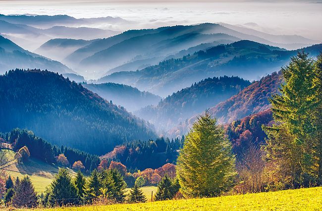 Malerische Berglandschaft. Blick auf den Schwarzwald in Deutschland, in Nebel gehüllt.