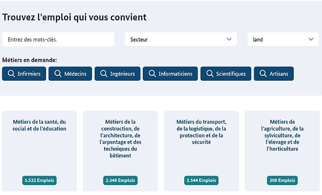 Capture d'écran de la bourse d'emploi Make it in Germany