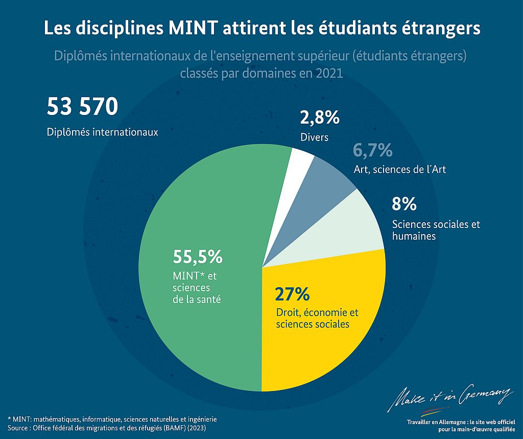 Graphique Les disciplines MINT