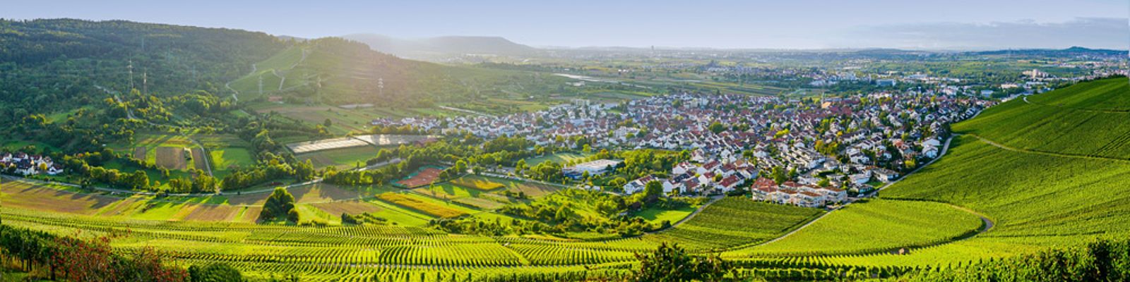 Vineyards