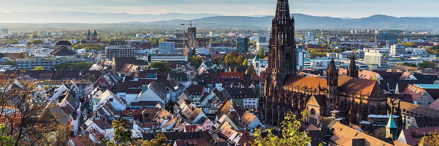 Vue de Fribourg-en-Brisgau