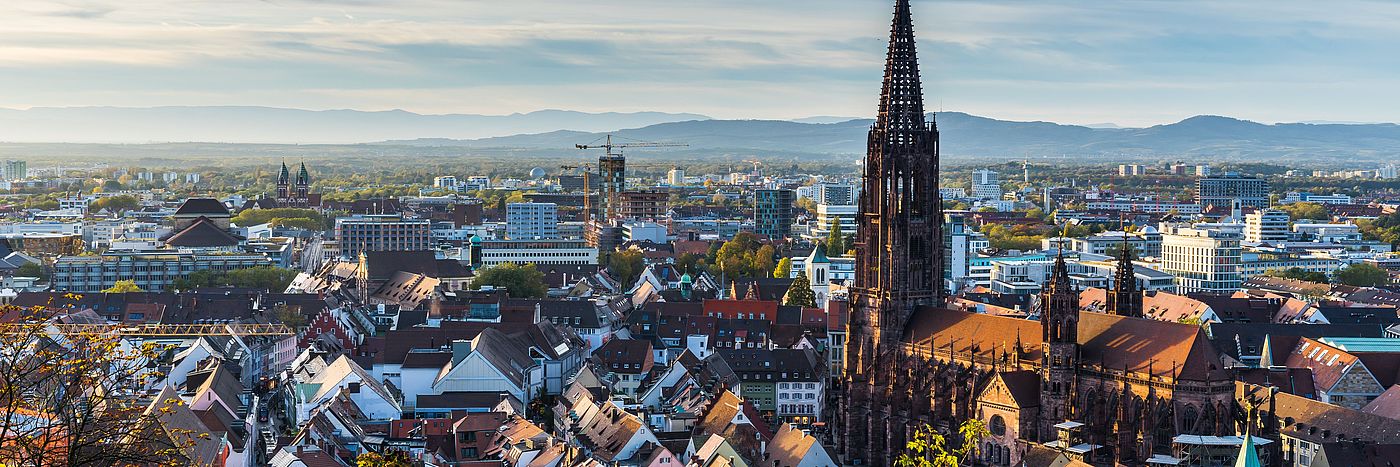 Ansicht von Freiburg im Breisgau