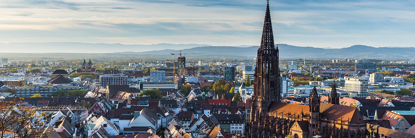 Ansicht von Freiburg im Breisgau