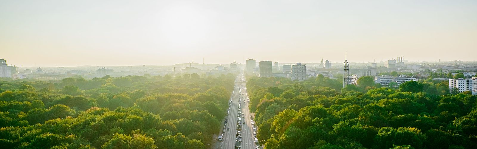 Luftaufnahme einer Autobahn inmitten von Bäumen