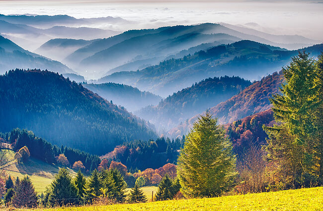 Scenic mountain landscape. View on the Black Forest in Germany, covered in fog.