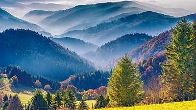 Paysage de montagne pittoresque. Vue sur la Forêt Noire en Allemagne, couverte de brouillard.