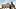 Internationale Studentin mit Rucksack in Berlin