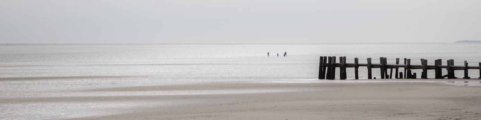 Wattenmeer